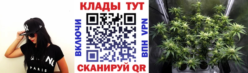 Наркотические вещества Новопавловск ГАШИШ  МАРИХУАНА  АМФ  Меф  NBOMe  А ПВП  Cocaine 