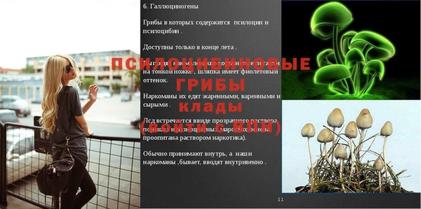 прущие крисы Алексин