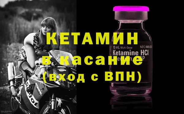 сатива Абинск