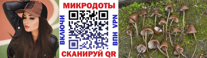 Галлюциногенные грибы GOLDEN TEACHER  гидра сайт  Новопавловск  закладки 